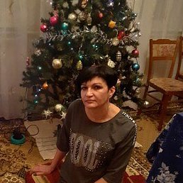 ������, ���������, 50 ���