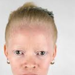 ���� ��������, ������, 81 ��� - ��������� 10 �������� 2023