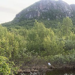 ����� ��, �����-���������, 28 ���