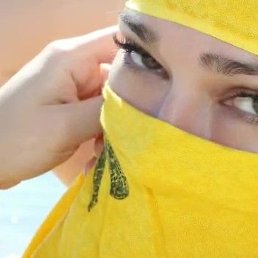 �����, ����, 43 ����