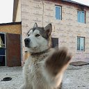 ���� �������, ������, 49 ��� - ��������� 1 ��� 2023 � ������ ���� ����������