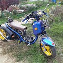 ���� �������, ������ - ��������� 25 �������� 2023 � ������ ���� ����������