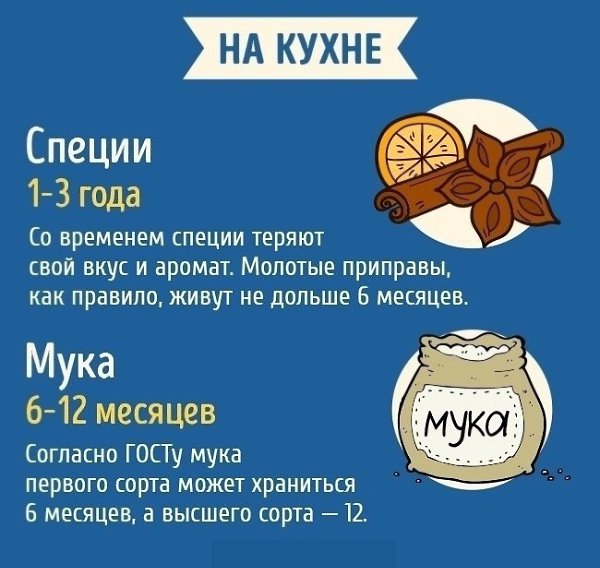 Гид по бытовым предметам с неожиданным сроком годности: - 3