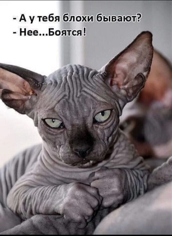 ������������� ���� - 1 ���� 2023 � 12:51