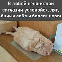 ���� ������, ������ - ��������� 6 ����� 2023 � ������ ���� ����������