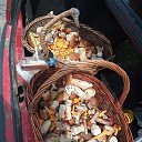 ���� ����, ���� - ��������� 23 ������� 2023 � ������ ���� ����������