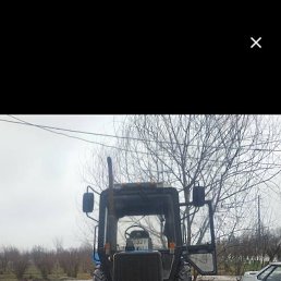 ����, ������, 37 ���