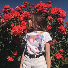 �����, ����, 20 ���