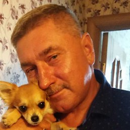 ������, �����������, 62 ����