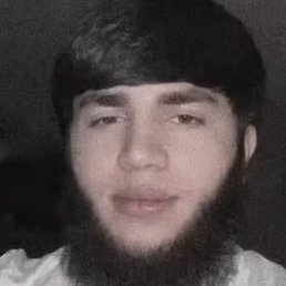 ����, �����-���������, 22 ����