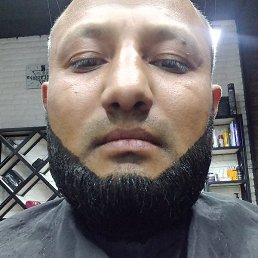 ��������, �����, 40 ���