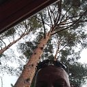 ���� Maris, ������, 48 ��� - ��������� 11 �������� 2023 � ������ ���� ����������
