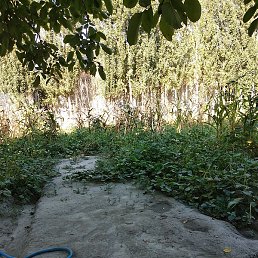 Shuhratjon, ������, 53 ����