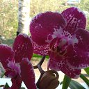 ���� ������, ������, 67 ��� - ��������� 2 ������� 2023 � ������ ���� ����������