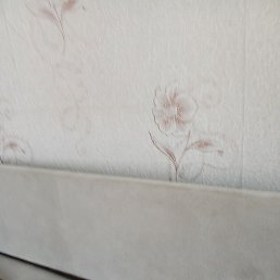 ����, ������, 22 ����