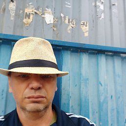 �������, �����, 49 ���