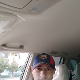 ���� ����, ������, 43 ���� - ��������� 1 ������� 2023