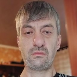 �����, �������, 46 ���