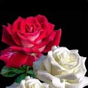 ���� ������, �����, 47 ��� - ��������� 9 ������ 2023 � ������ ���� ����������