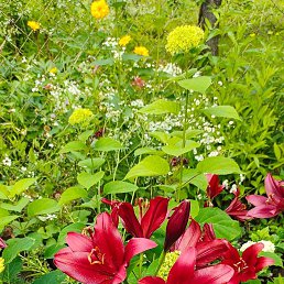 ���� ����, ��������, 38 ��� - ��������� 22 ������� 2023