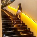 ���� Stella, �������, 27 ��� - ��������� 29 ������� 2023