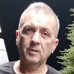 ����, ����, 55 ���