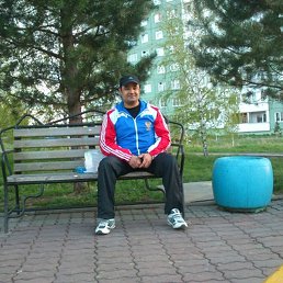 �����, ������, 43 ����