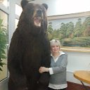 ���� �����, �������������, 37 ��� - ��������� 27 ���� 2023