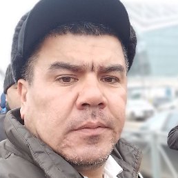 ����, �����-���������, 38 ���