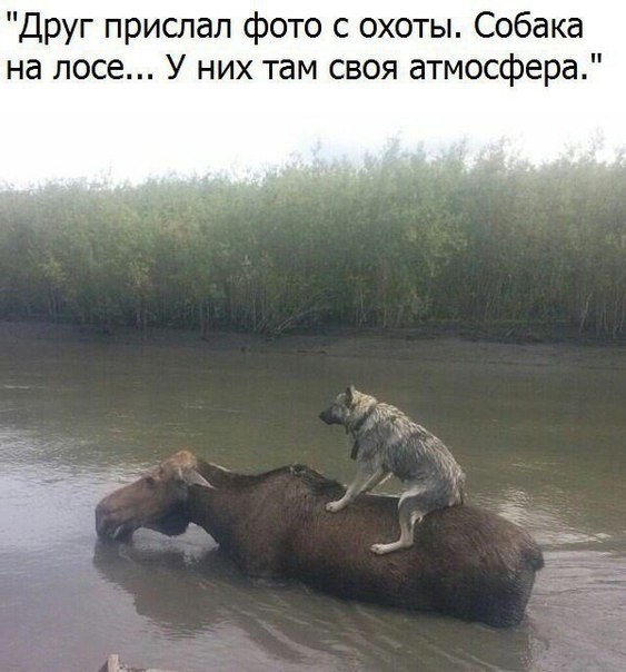 ? ,  ! - 15  2023  16:32