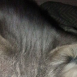 ������, ������, 25 ���