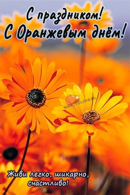 Оранжевый день.5 сентября в праздничном календаре необычных дат отмечен, как Оранжевый день. У ...