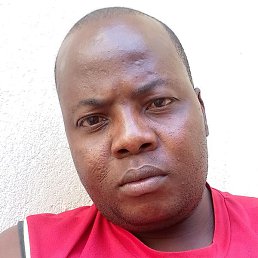 Protus, �������, 37 ���