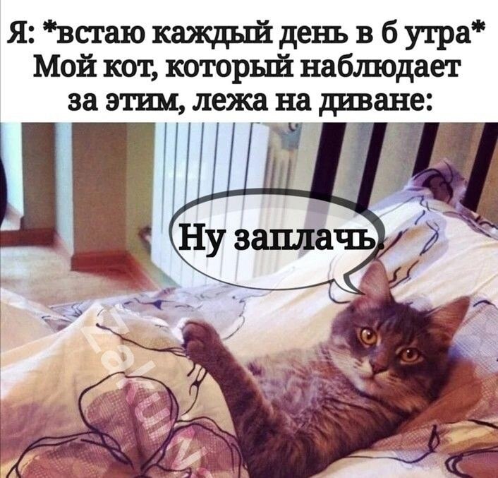 ***Victoria Viktorovna*** - 2  2023  06:28