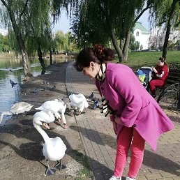 ���� Mariea, �������, 59 ��� - ��������� 2 ��� 2023