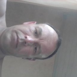 �����, ������, 44 ����