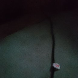 ���, ������, 56 ���