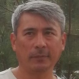 �������, �����, 41 ���