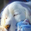 ���� ����, ������-��-����, 37 ��� - ��������� 14 ������� 2023