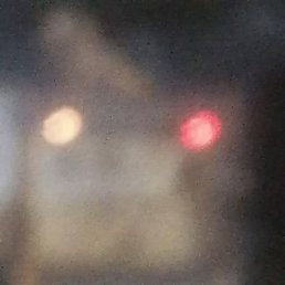 Famin, ����, 41 ���