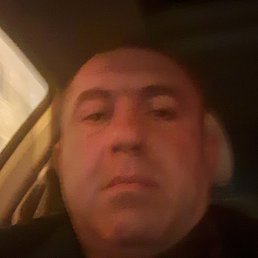 ����, �����, 46 ���