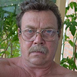 �������, ����������, 66 ���