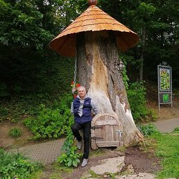 �������, ������, 51 ���