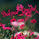 ���� �����, ������, 43 ���� - ��������� 19 ���� 2023 � ������ ���� ����������