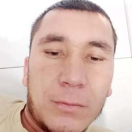 Bobir, ������, 35 ���