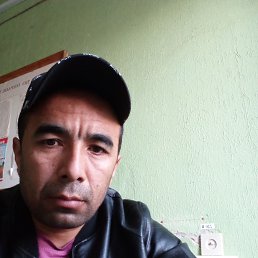 ���� �����, �����, 36 ��� - ��������� 18 �������� 2023