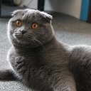 ���� �����, �����, 55 ��� - ��������� 27 �������� 2023 � ������ ���� ����������