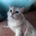 ���� �����, �����������, 57 ��� - ��������� 4 ���� 2023