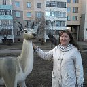 �������� �� ������� ���� ����������