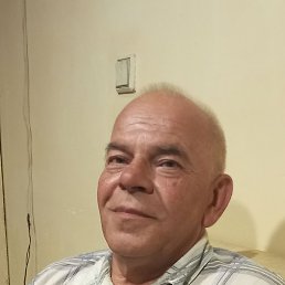 ������, �����, 65 ���